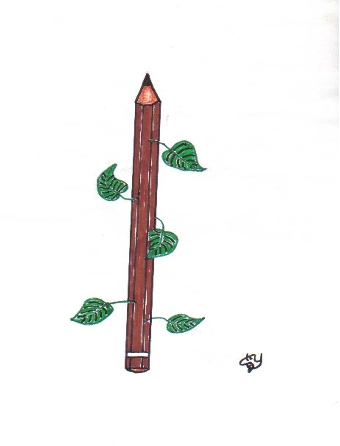 yener koç karikatür